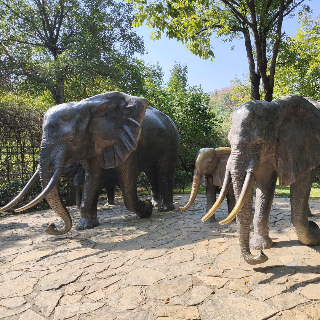 谁的生活不是一地鸡毛