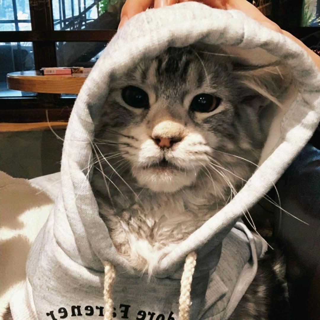 好咸