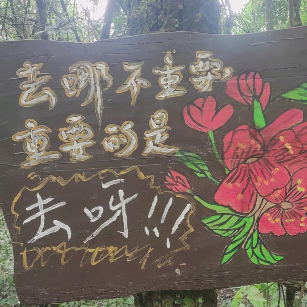 见到我的小毛驴了么