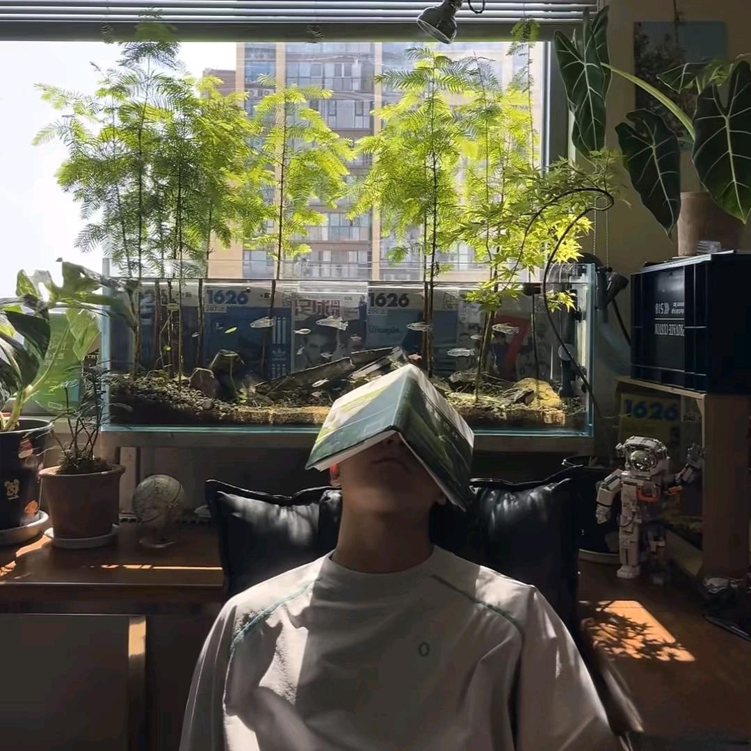 不会社交