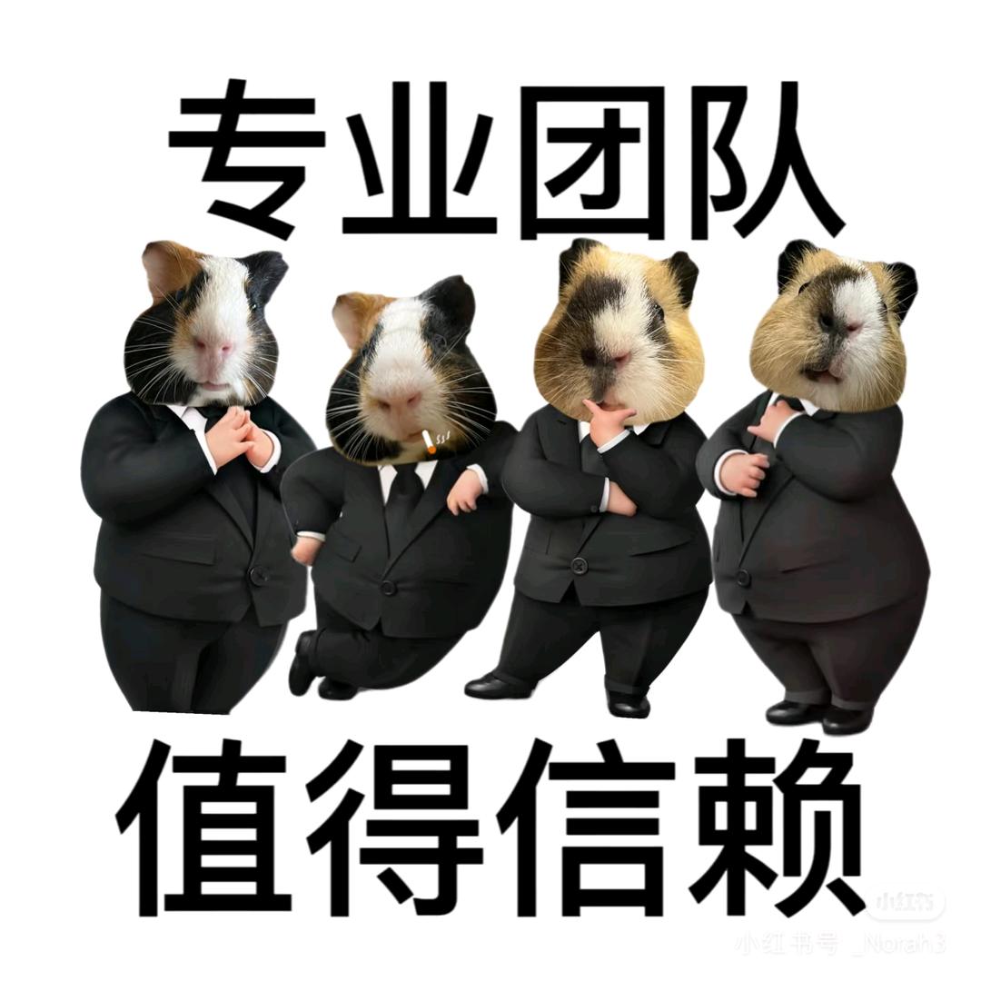 00后凤香整活频道