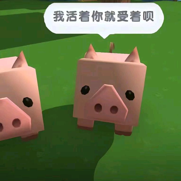 遲銍