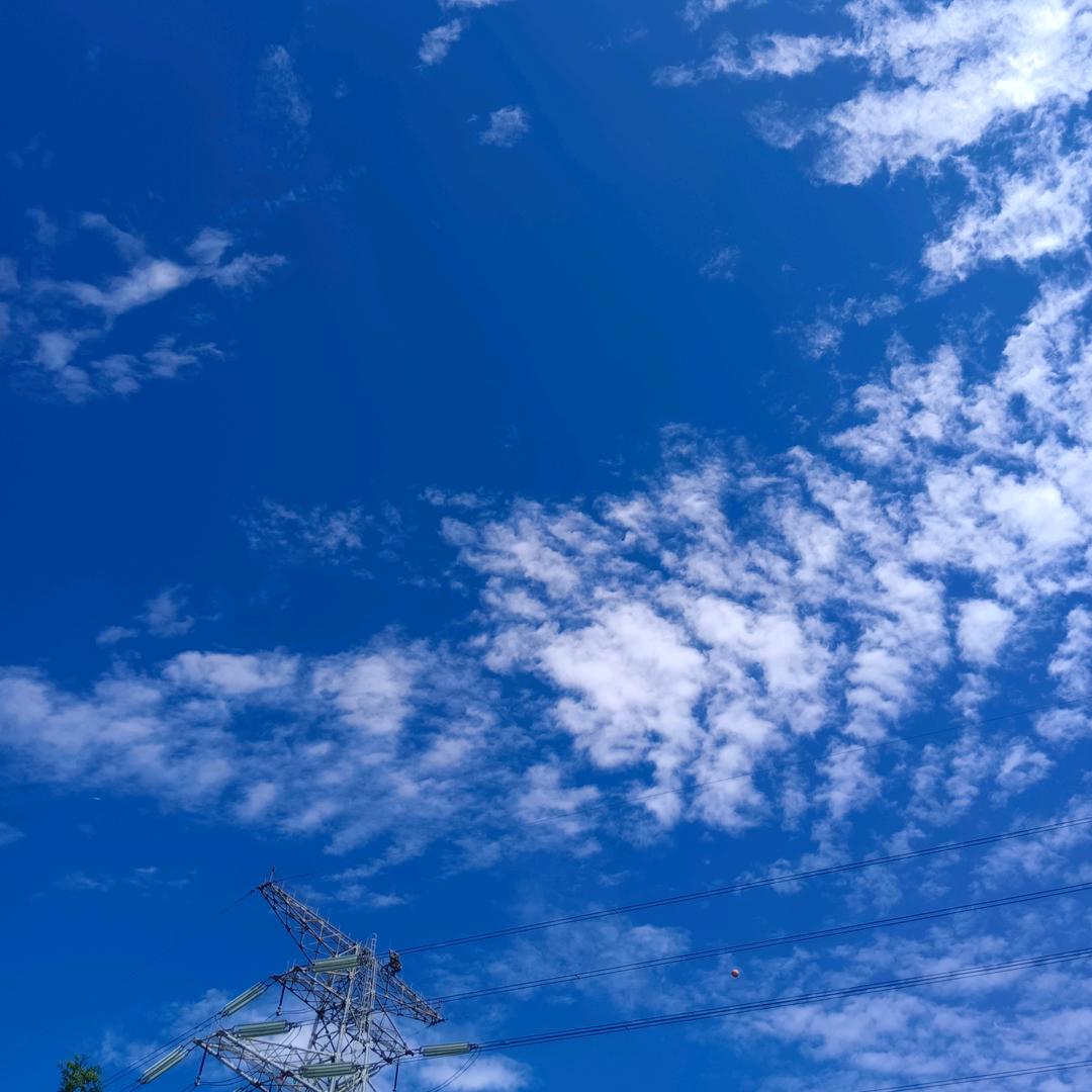 纯爱战士