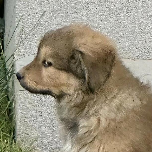 我吗？