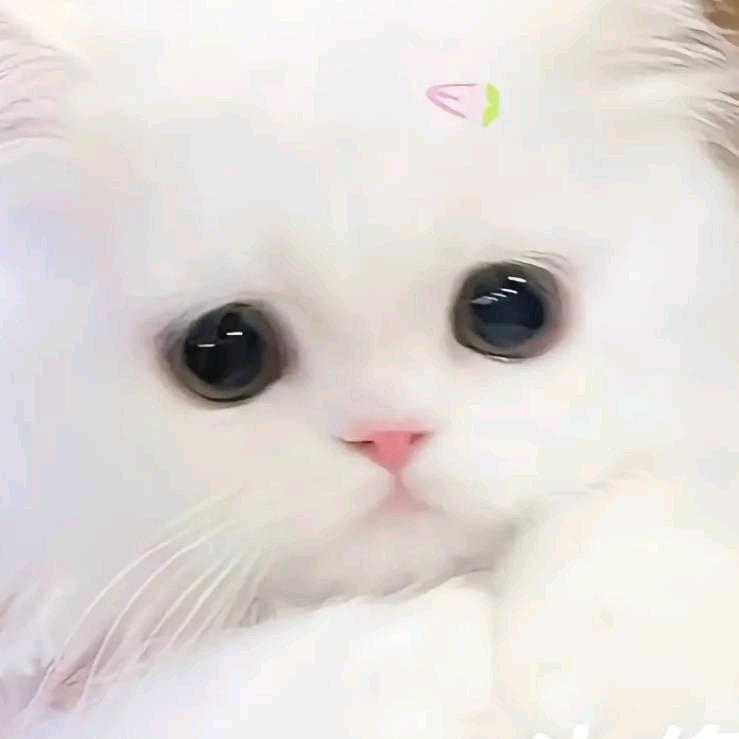 彤宝儿👶🏻的妈咪