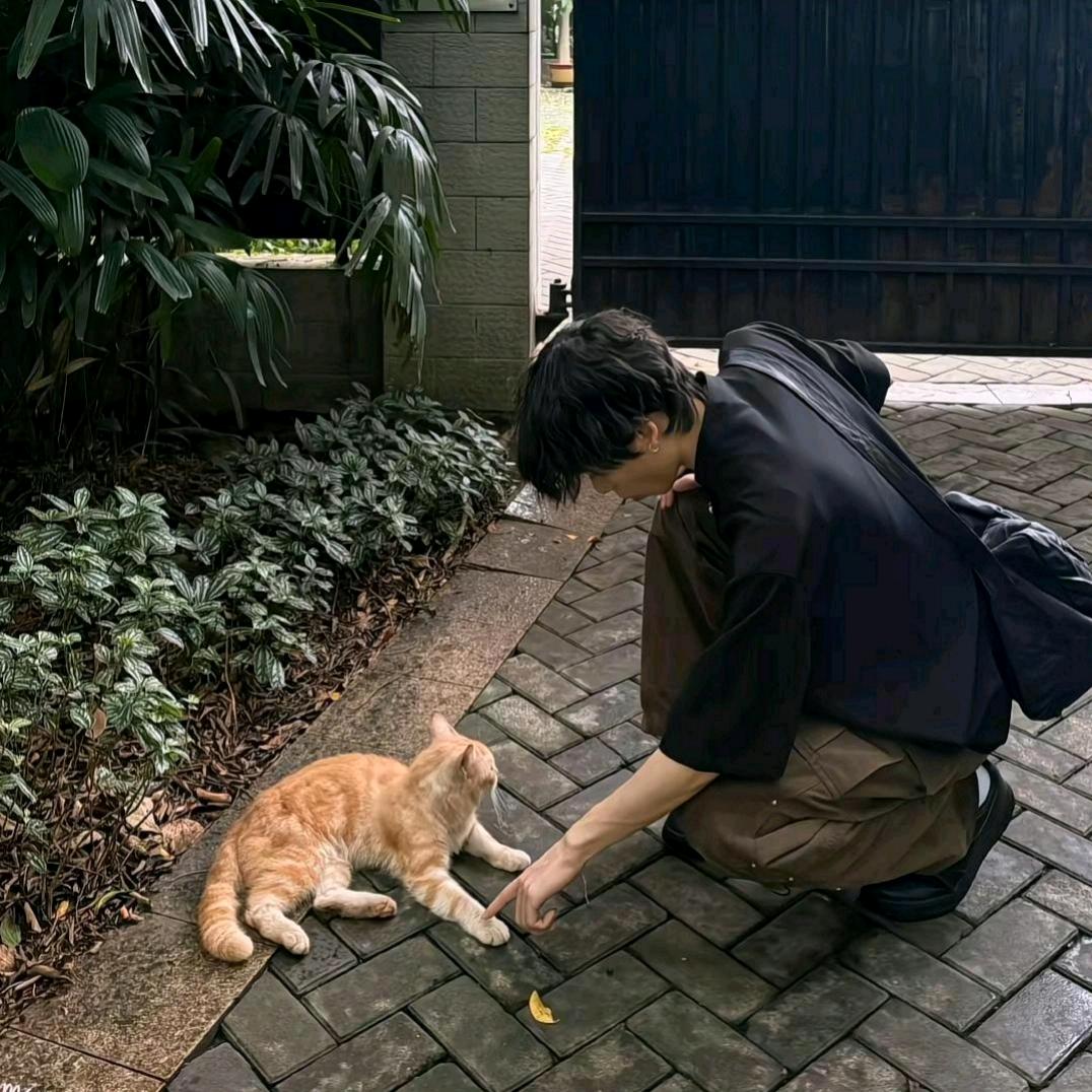 柠檬茶