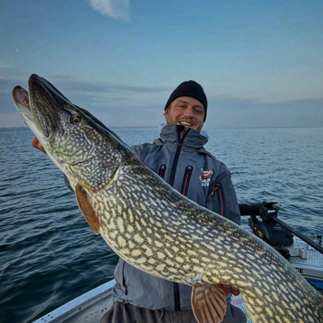 阳光钓渔具鱼线