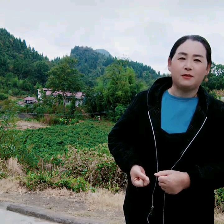 开心梅茶