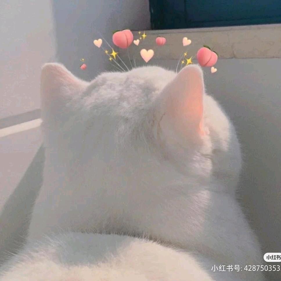 肥皂泡泡🎧