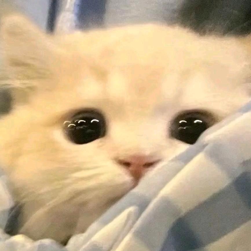 云汐月