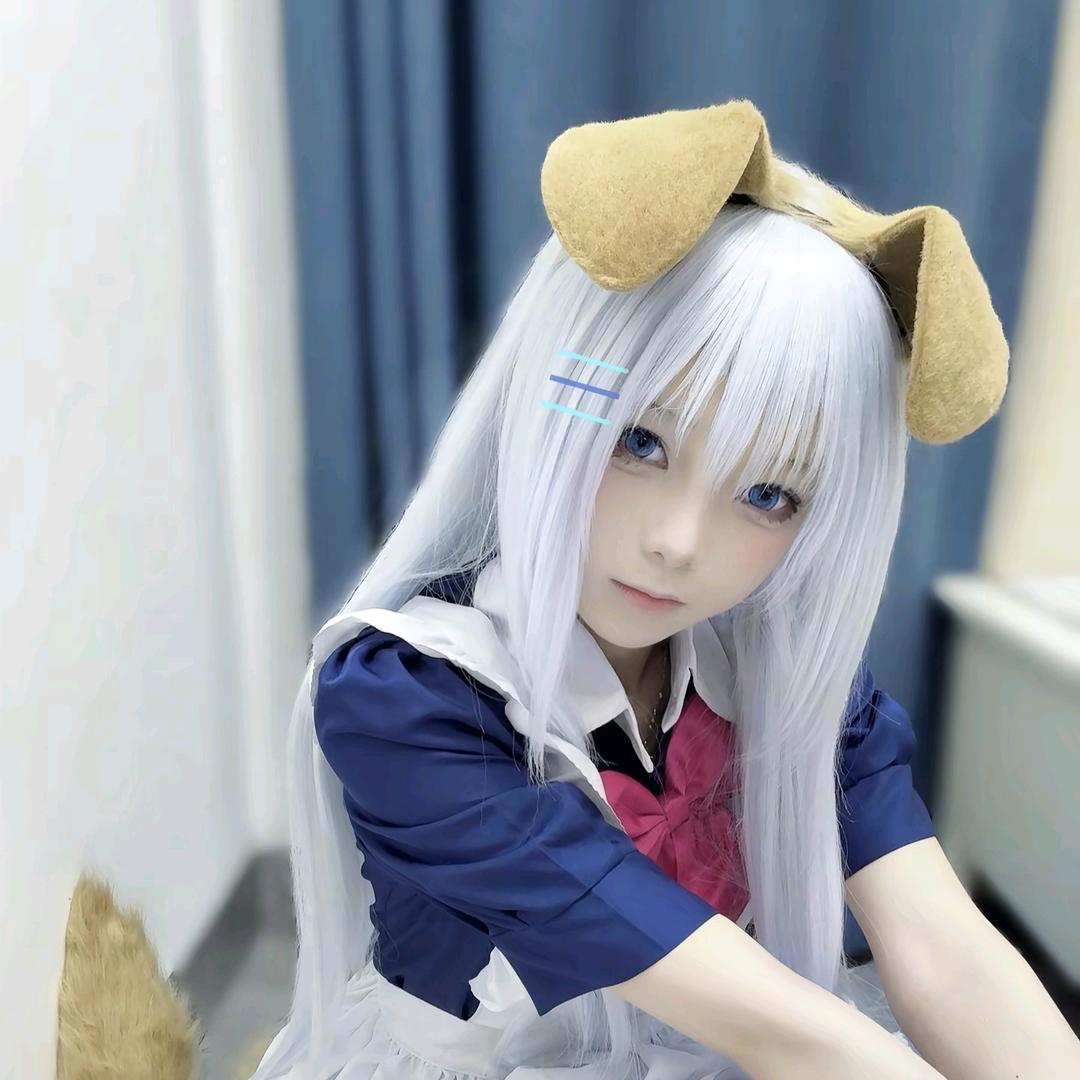 冷冰冰（全网最帅折纸厨）