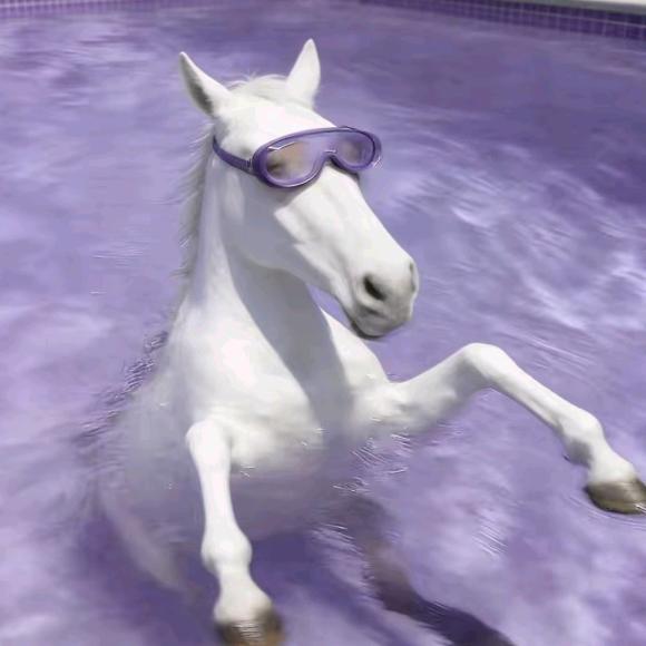 楠宫问雅（TNT演出每场都要原价票🎫）