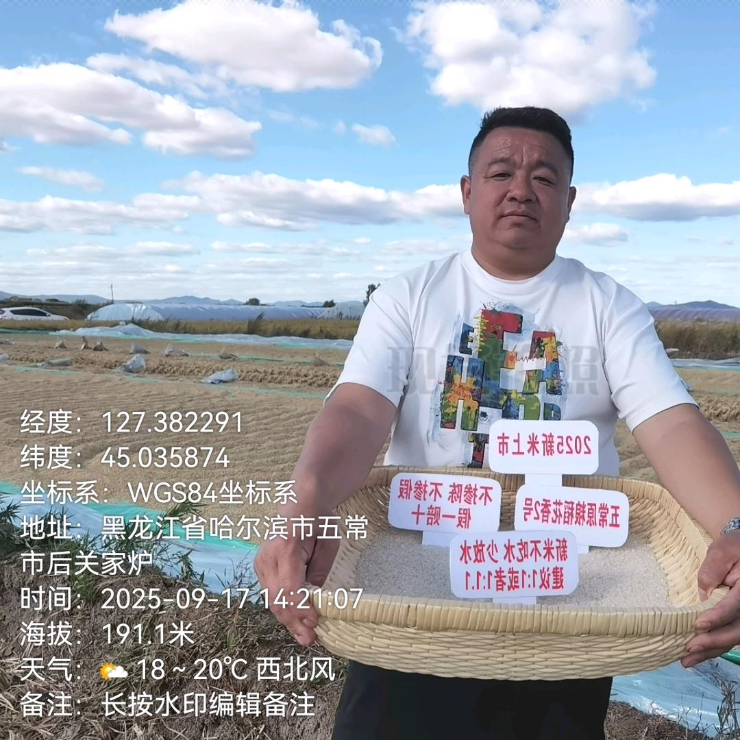 東北➡威哥（稻花香2号）