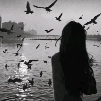 ᥫᩣ༠°君🌻安༊