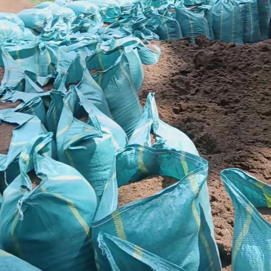 滇东一亩田松针腐殖土