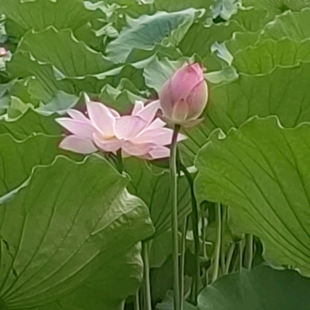 阳光海产