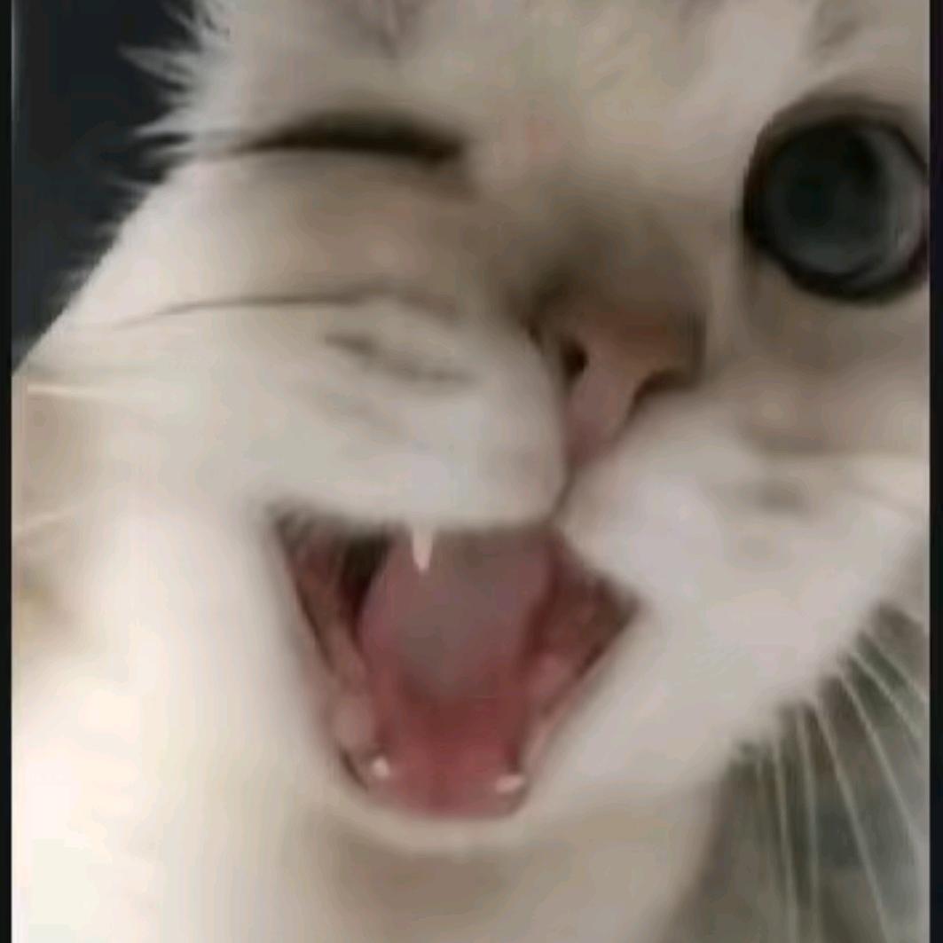 大王的带刀侍卫