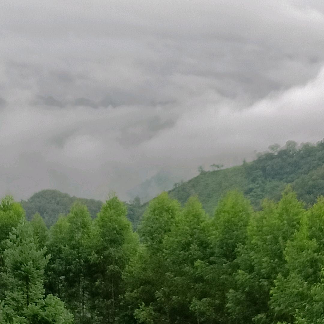 三少