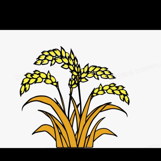 西安兵马俑谷悦民宿