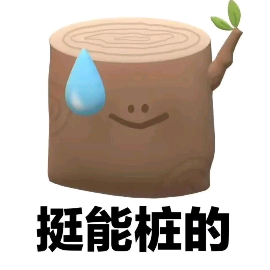 𝗔𝘂𝗿𝗼𝗿𝗮