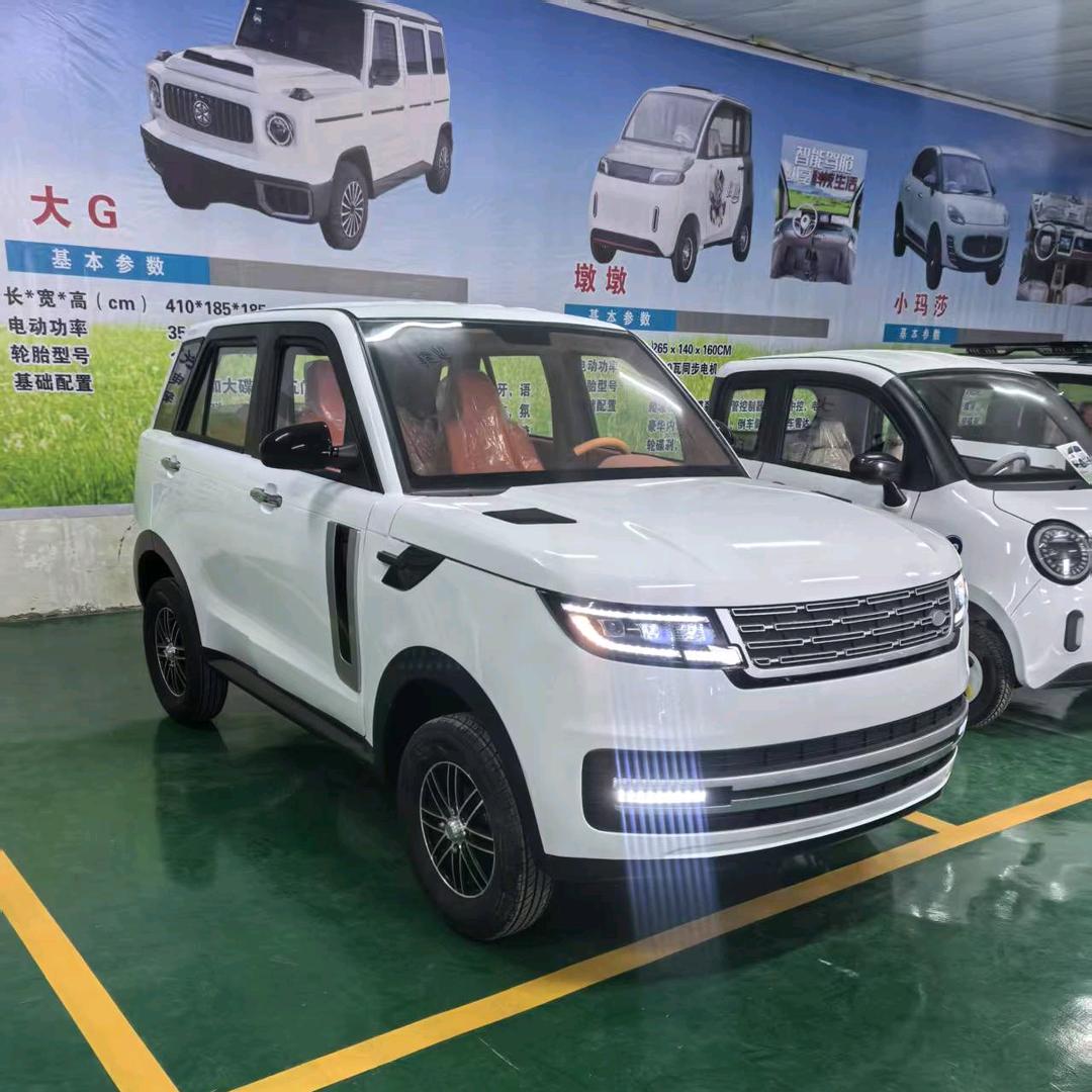 新能源低速电动车厂家
