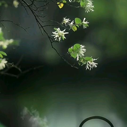 小确幸电子商务