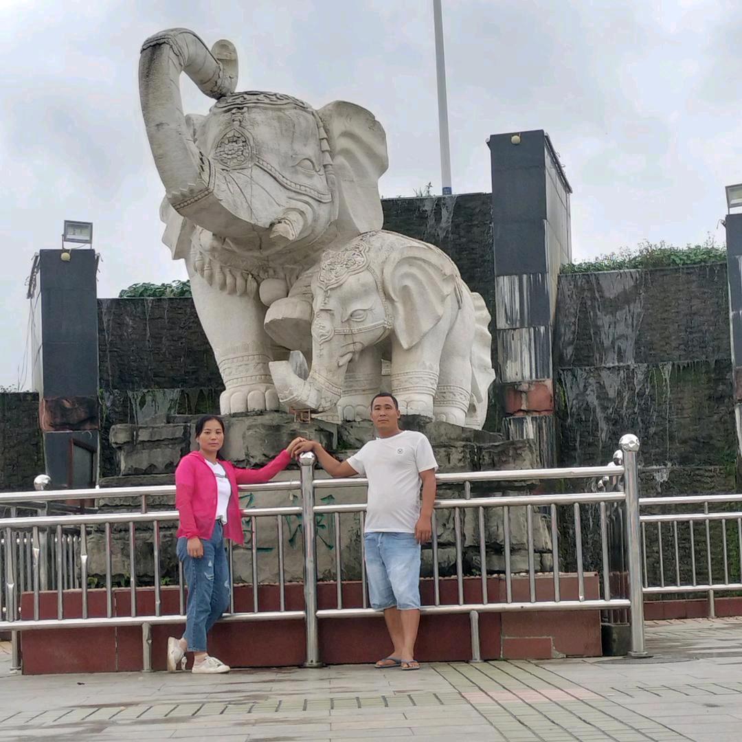 与张相伴👩‍❤️‍👨真正幸运菊