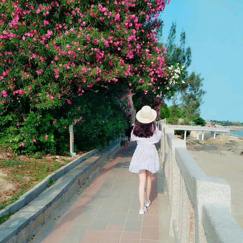 紫霞梦