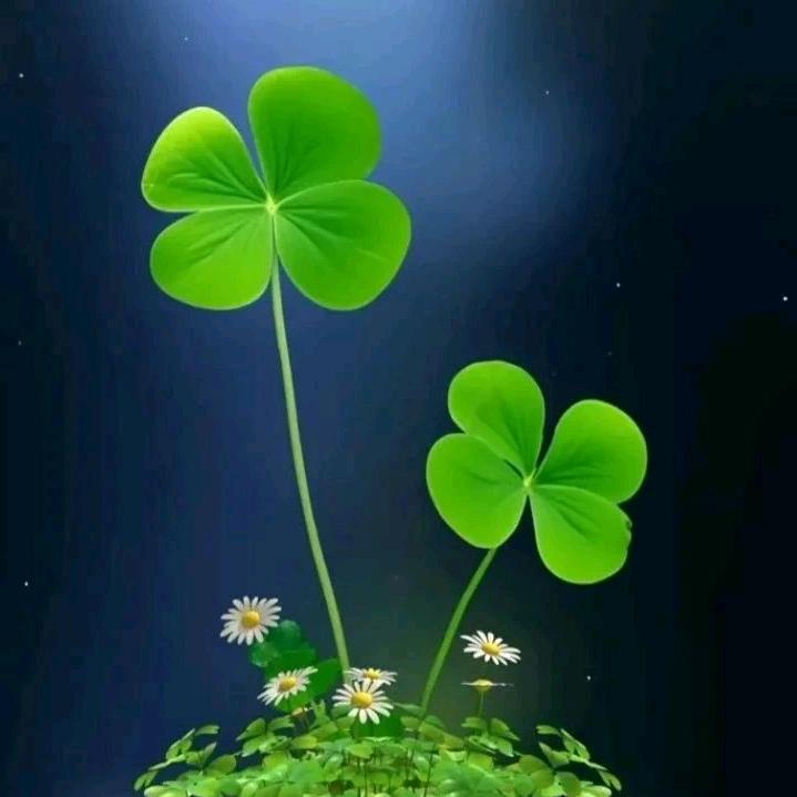 1の喥↘涳简