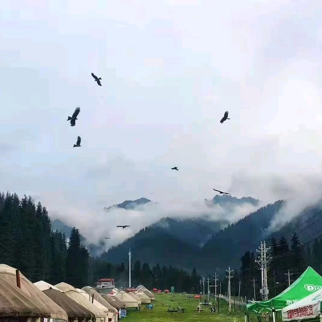 南山小峡谷1号农家乐官方号