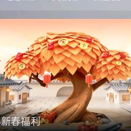 新手