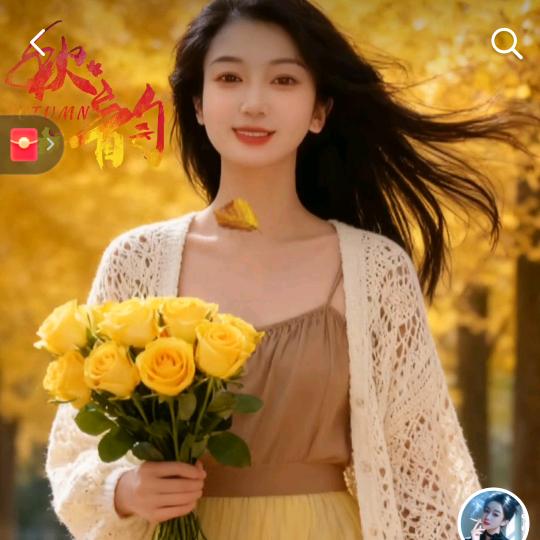 一览芳华