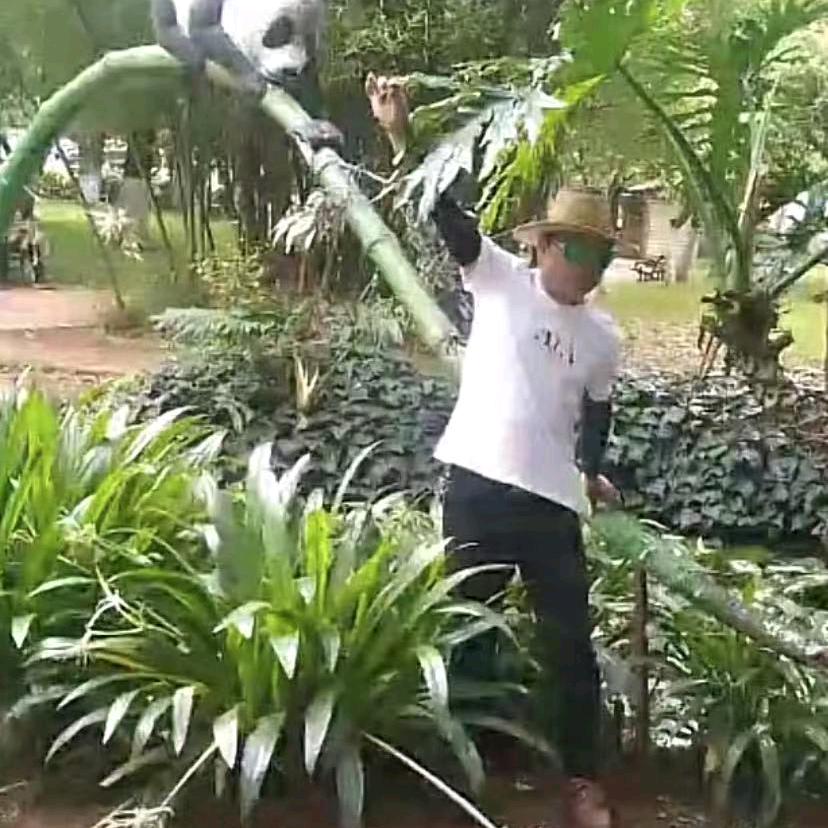 一家幸福