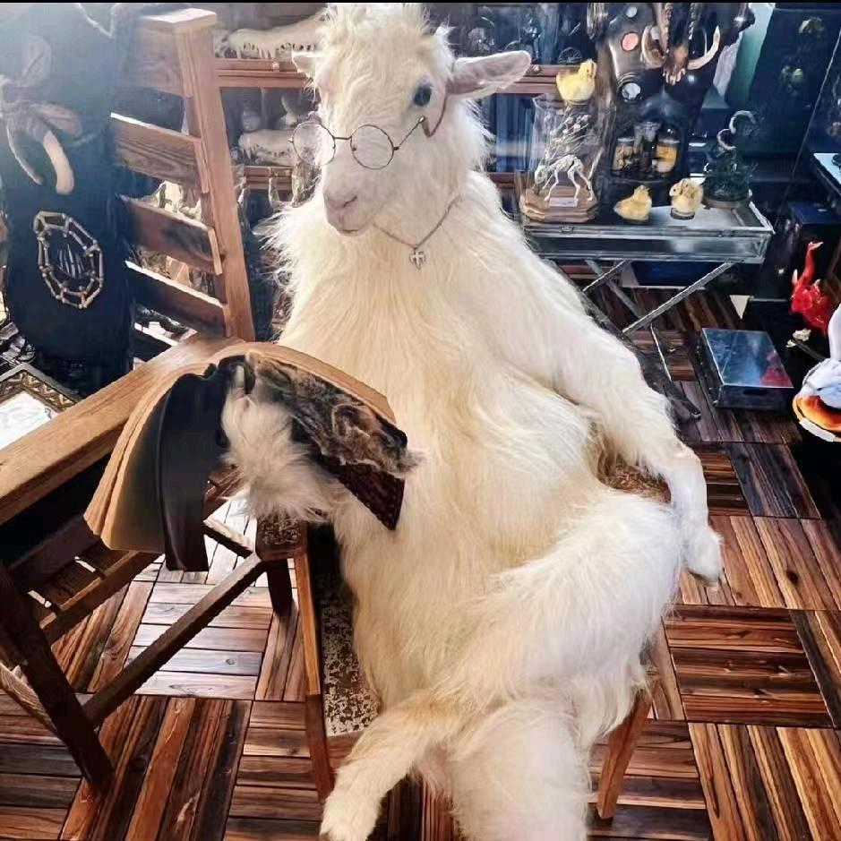 阳仔$