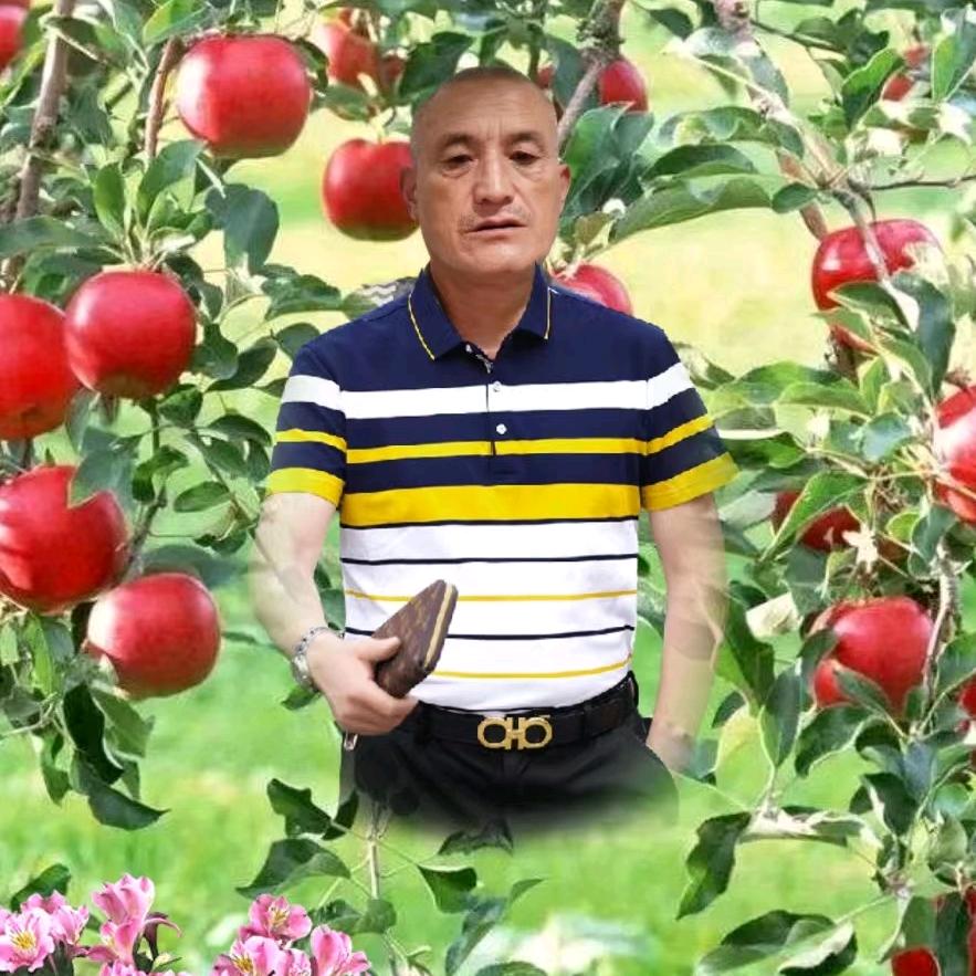 雪狼来了，独来，独往，