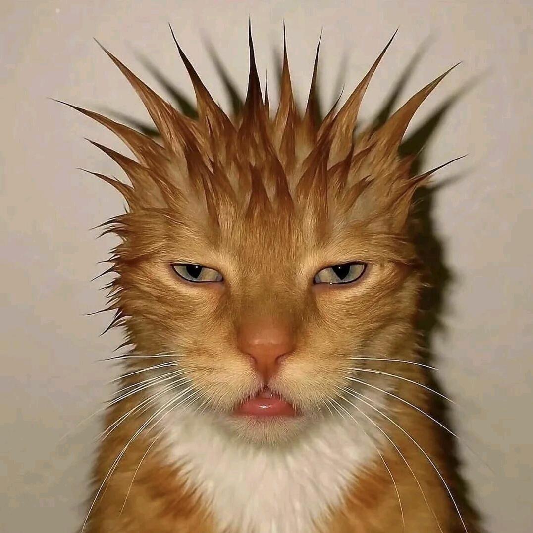 老表你的王嘉尔