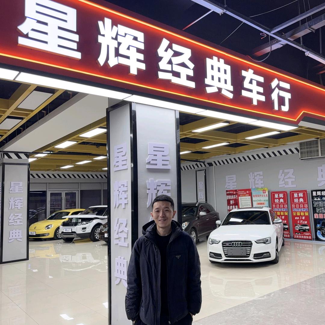 星辉经典情怀老车-大树