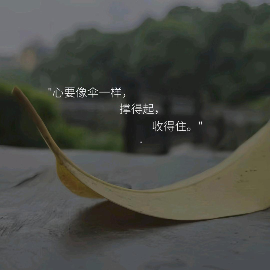 风🍃