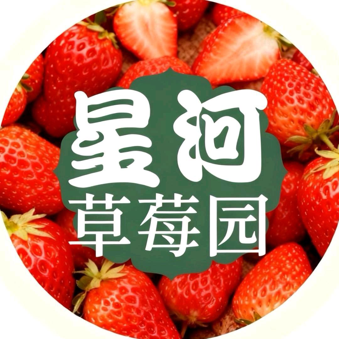 星河草莓园连锁店