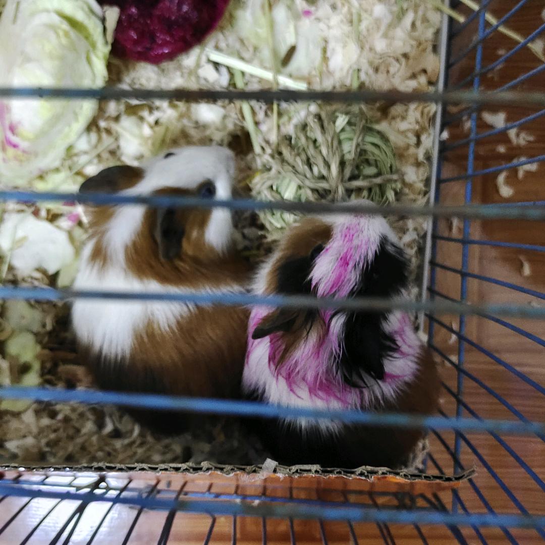 重生之牛马翻身无业游民