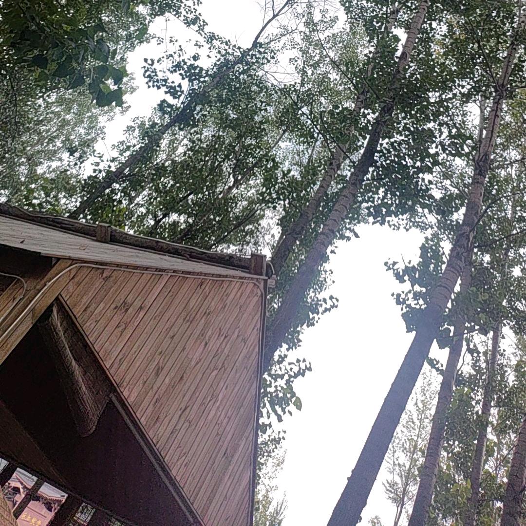 一念一清静