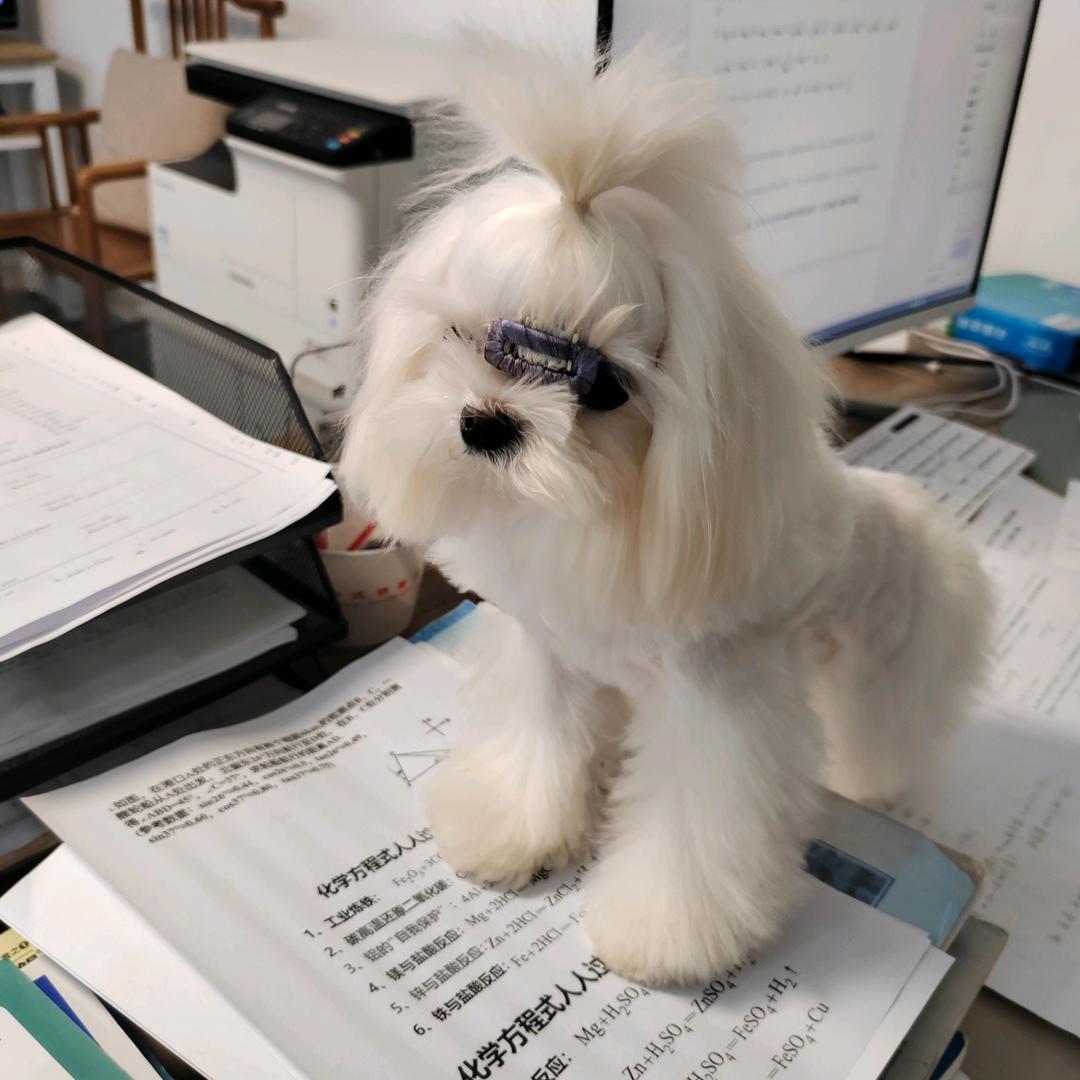 胡老师初高中学习指导 沛县单招