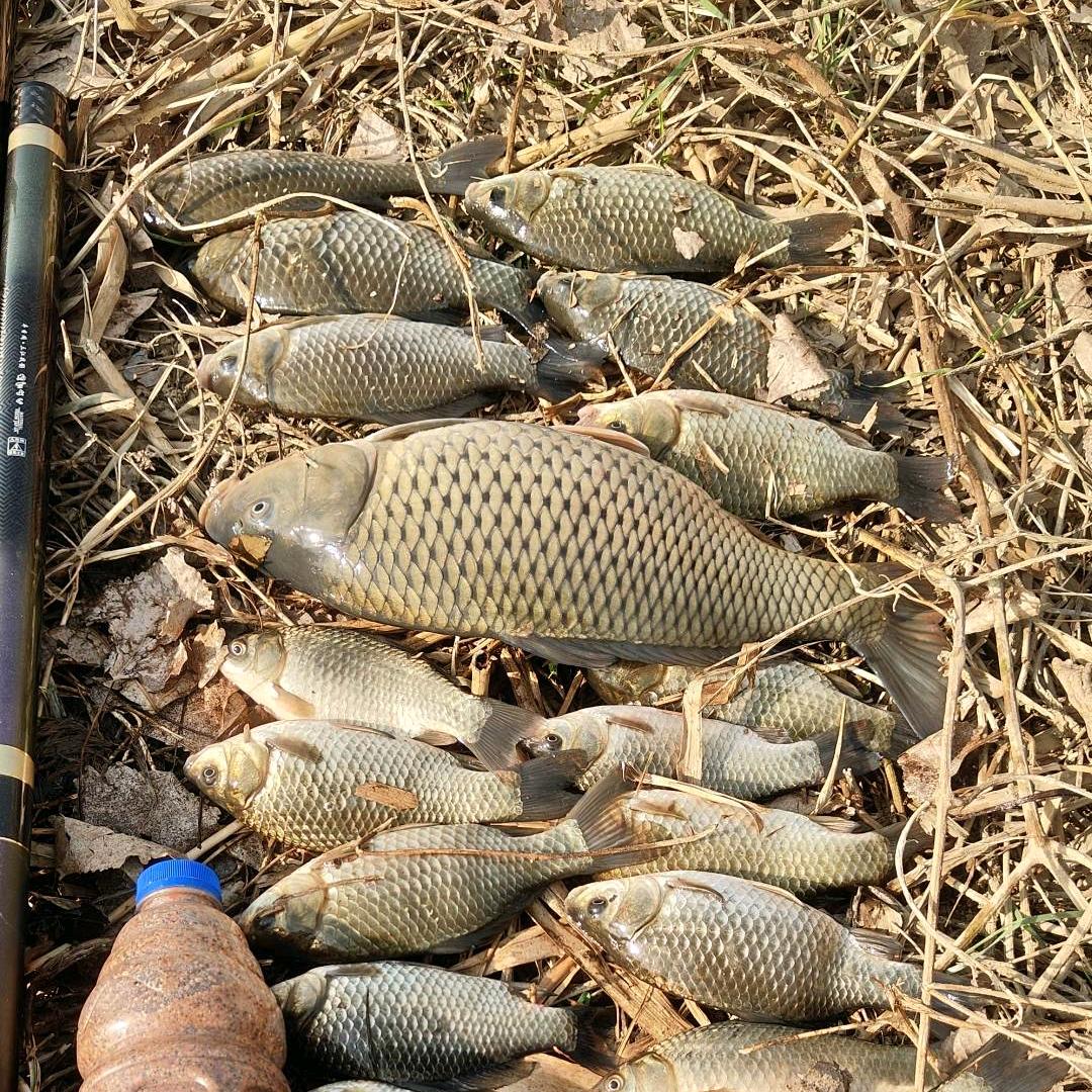 渔樂無限🎣