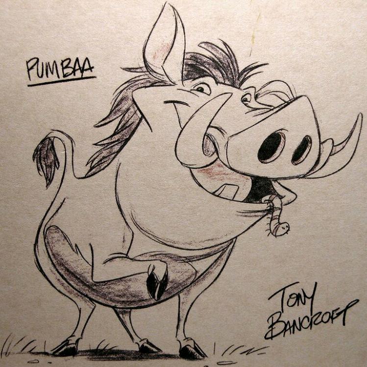 哈库呐玛塔塔💫