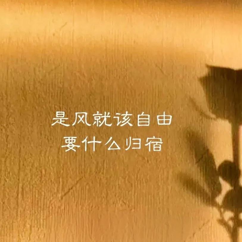 💕: 以梦为马