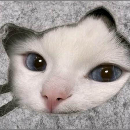 哎呀