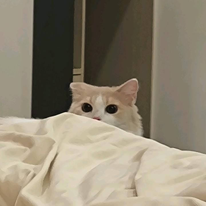 大胃王ww