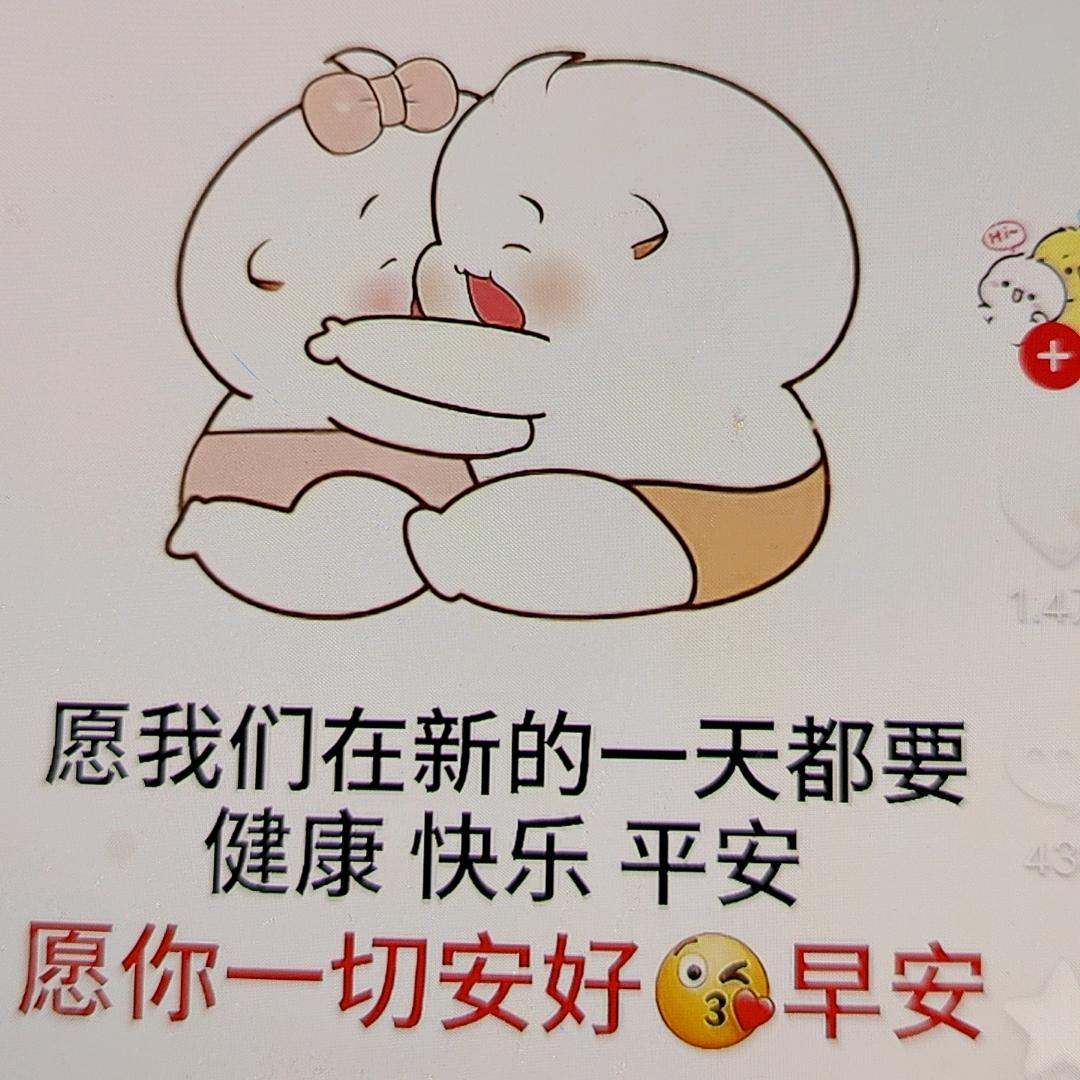 ❤️玫瑰不低头❤️