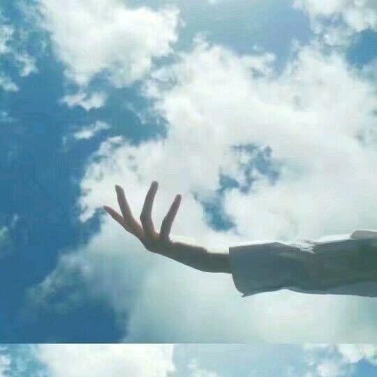 沁园净水～皮皮