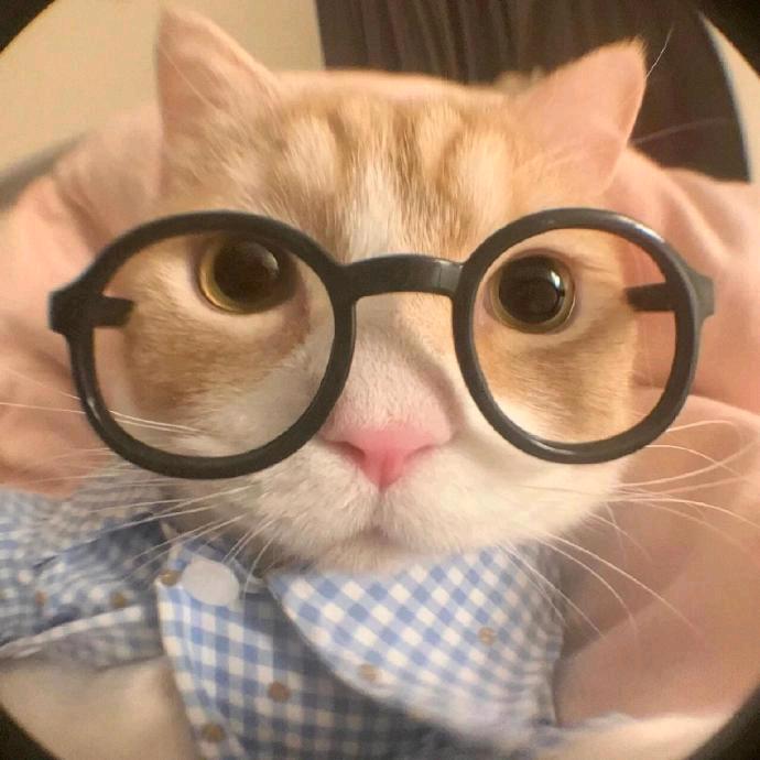 知寓旅居-小李说房